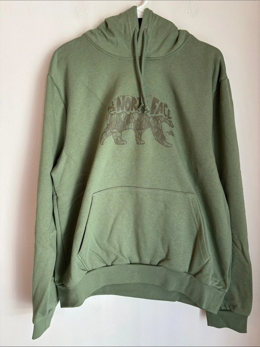 The North Face Mens Evolution TNF™ Bear Hoodie Graphic Sage Green Largr NWT soft